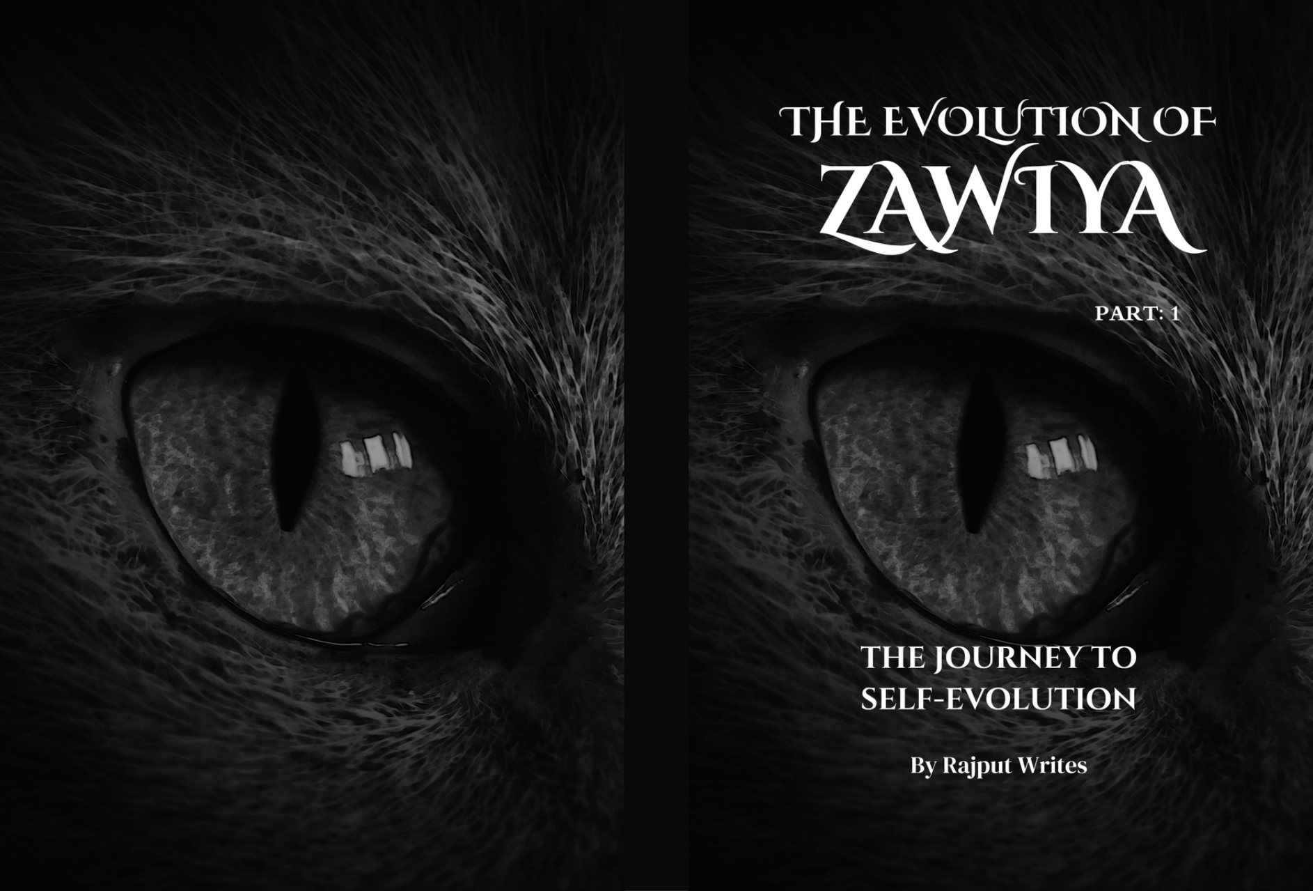 the evolution of zawiya (part 1)
